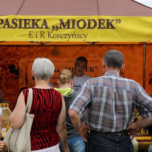 Święto Miodu w Krościenku